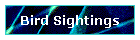 Bird Sightings