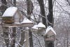 Snow on Bird Feeders  Mary Anne Romito