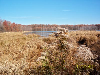 Sandy Ridge pond