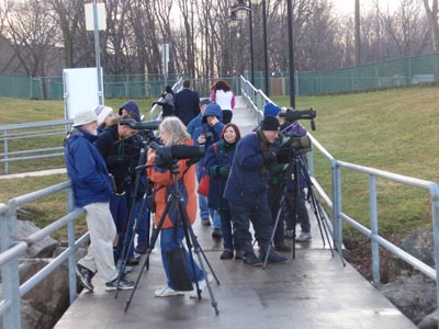 Avon Birders on pier