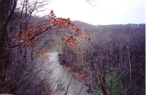 View from CedarPoint  Terri Martincic