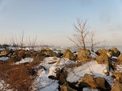 Lake Erie shoreline