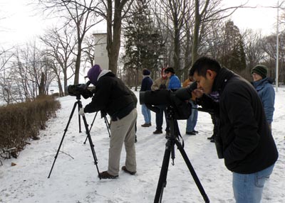 Birding the Lake
