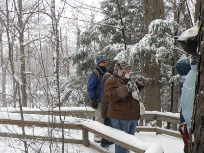 Snowy path at Huntington