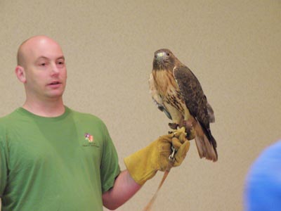 Tim and red-tail