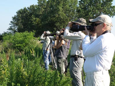 Birding at Lorain