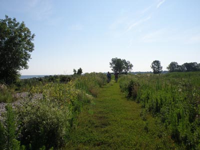 The path at Lorain