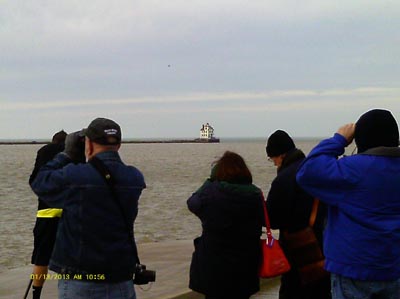 Lorain Birders