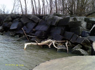 Lorain Driftwood