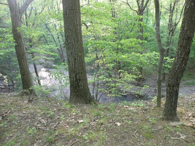 Porter Creek
