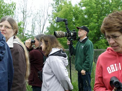 Puritas Birders