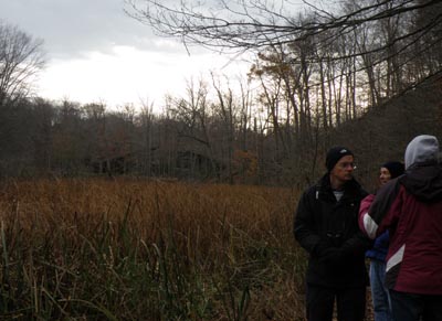 Wetland behind RRNC