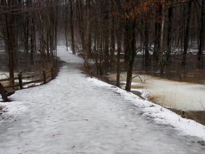 Icy Trail