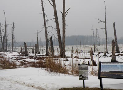 Sandy Ridge in winter