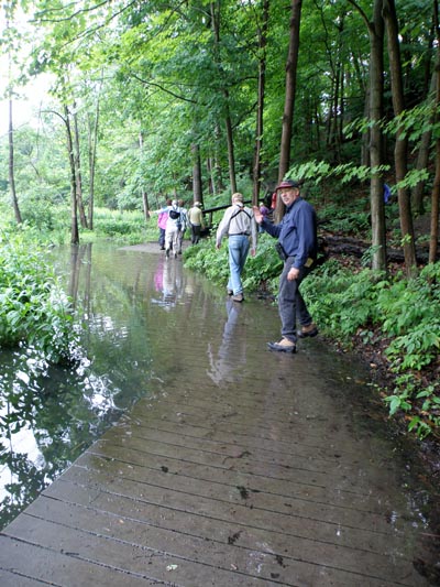 Wet Walk