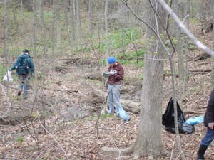 Garlic Mustard Pull at Wendtwood
