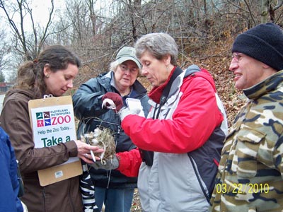 Examining bird boxes