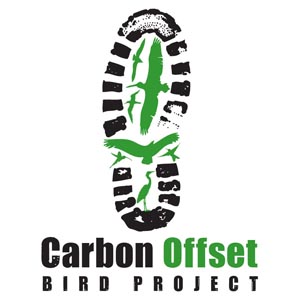 Carbon Offset logo