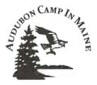 Hog Island logo